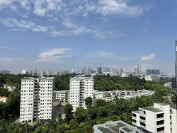 RESIDENCES AT EMERALD HILL (D9), Apartment #582345641